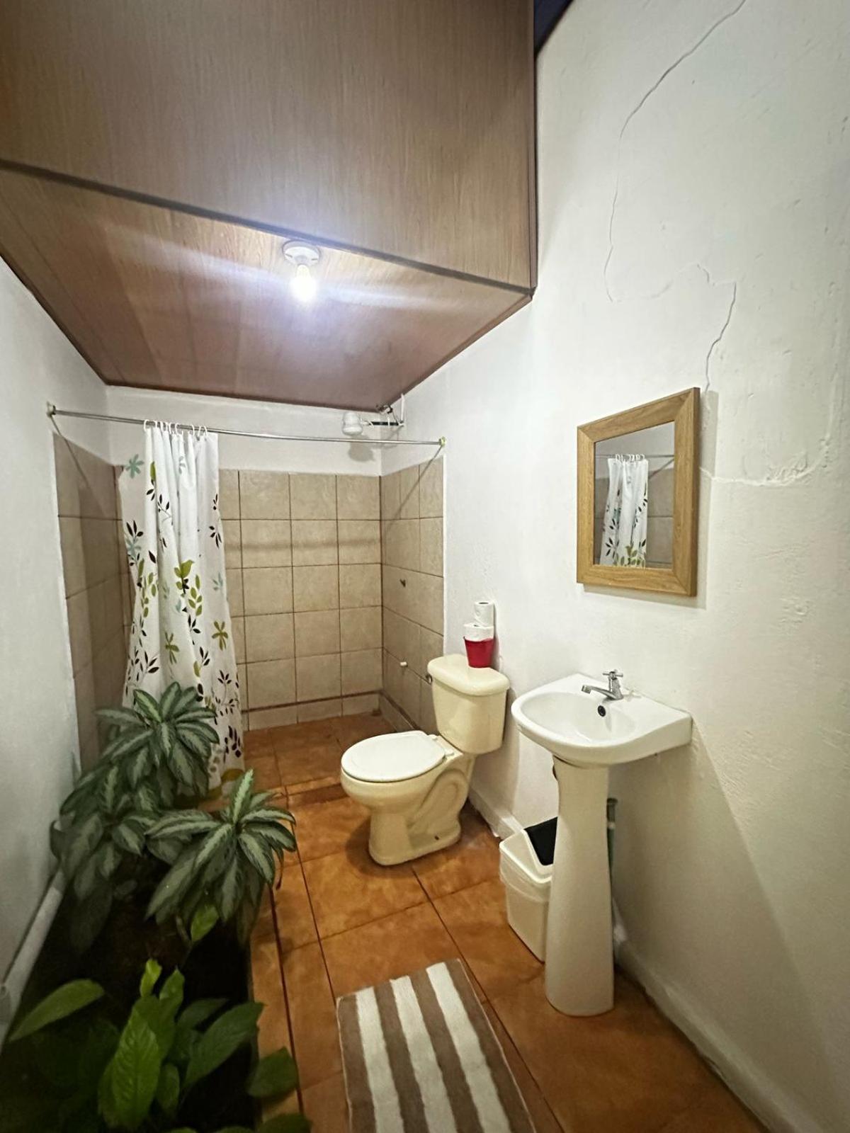 蓝色科尔特斯海酒店 阿拉胡埃拉 外观 照片